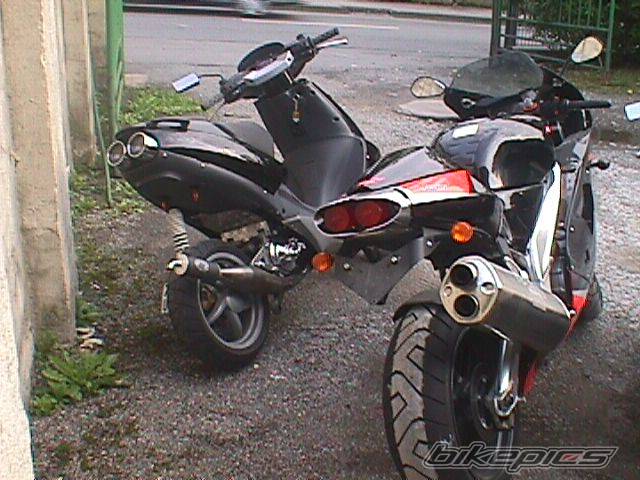 1998 APRILIA SR 50 | Picture 35797 motorcycle photo