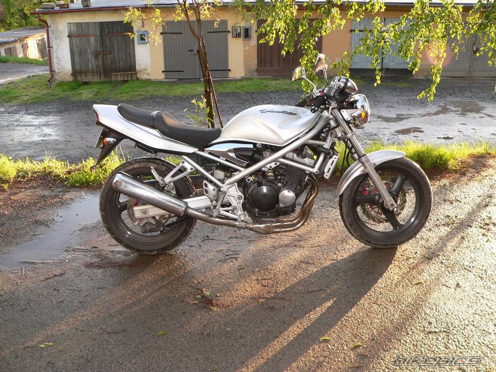 2002 SUZUKI BANDIT 250 | Picture 358210 motorcycle photo