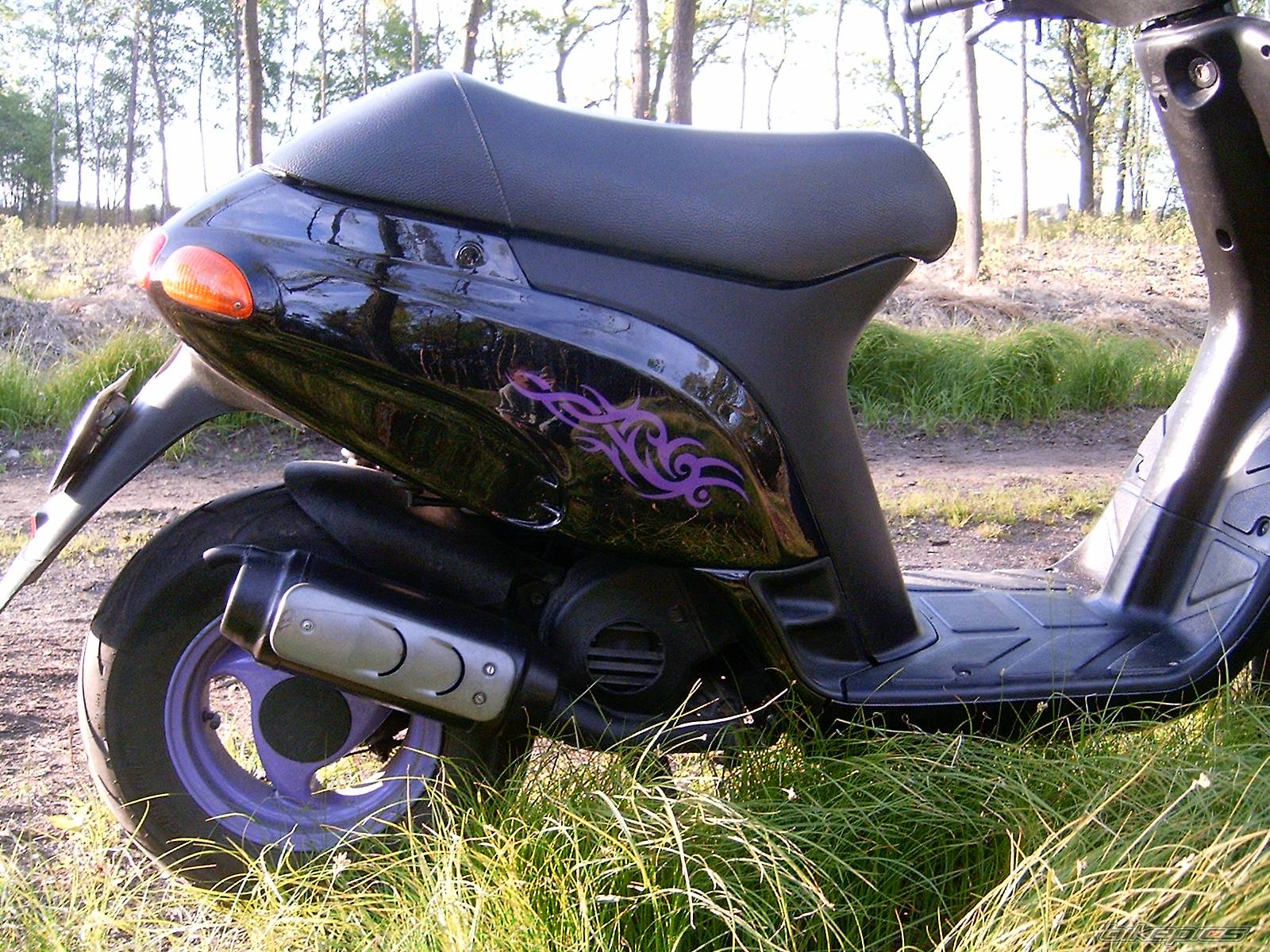 1994 PIAGGIO TYPHOON 50 | Picture 358510 motorcycle photo
