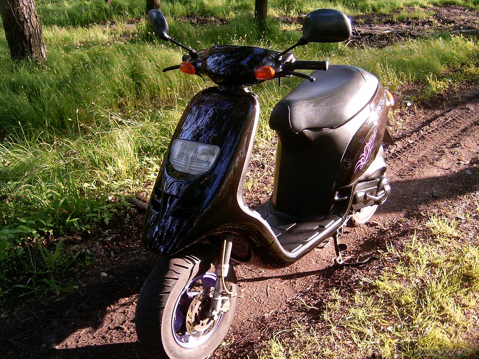 1994 PIAGGIO TYPHOON 50 | Picture 358516 motorcycle photo