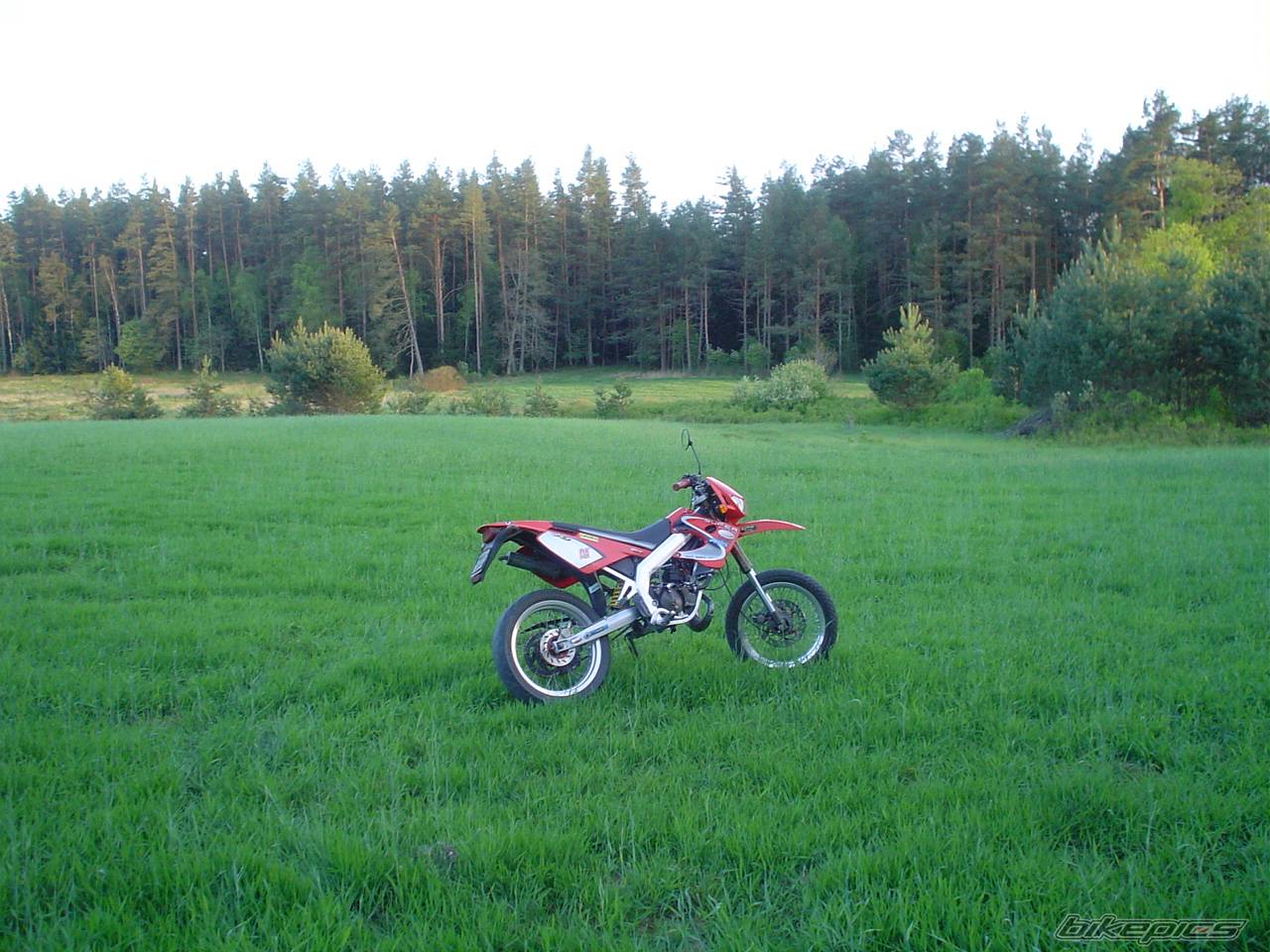 2001 DERBI SENDA SM 50 | Picture 358694 motorcycle photo
