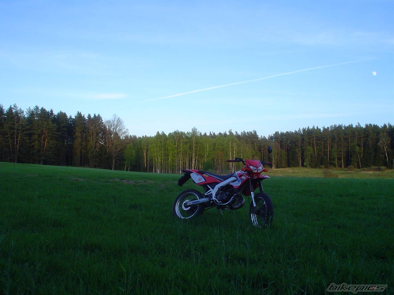 2001 DERBI SENDA SM 50 | Picture 358700 motorcycle photo