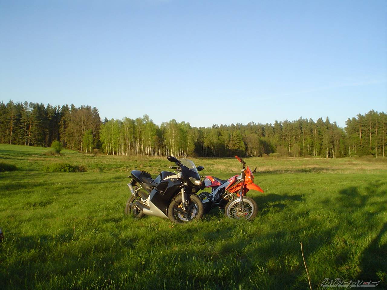 2001 DERBI SENDA SM 50 | Picture 358706 motorcycle photo