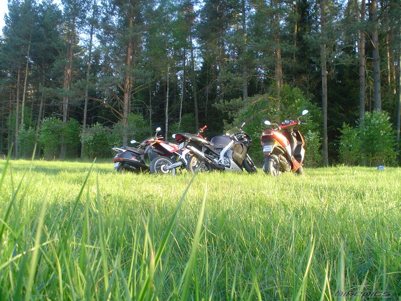 2001 DERBI SENDA SM 50 | Picture 358716 motorcycle photo