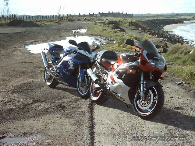 1998 YAMAHA YZF R1 | Picture 359234 motorcycle photo