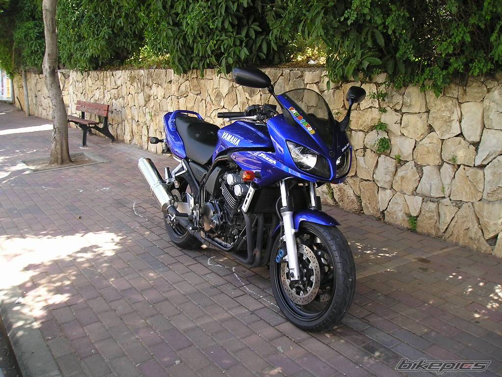 2002 YAMAHA FZS 600 FAZER | Picture 359547 motorcycle photo