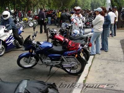 2005 BAJAJ PULSAR 180 | Picture 360104 motorcycle photo