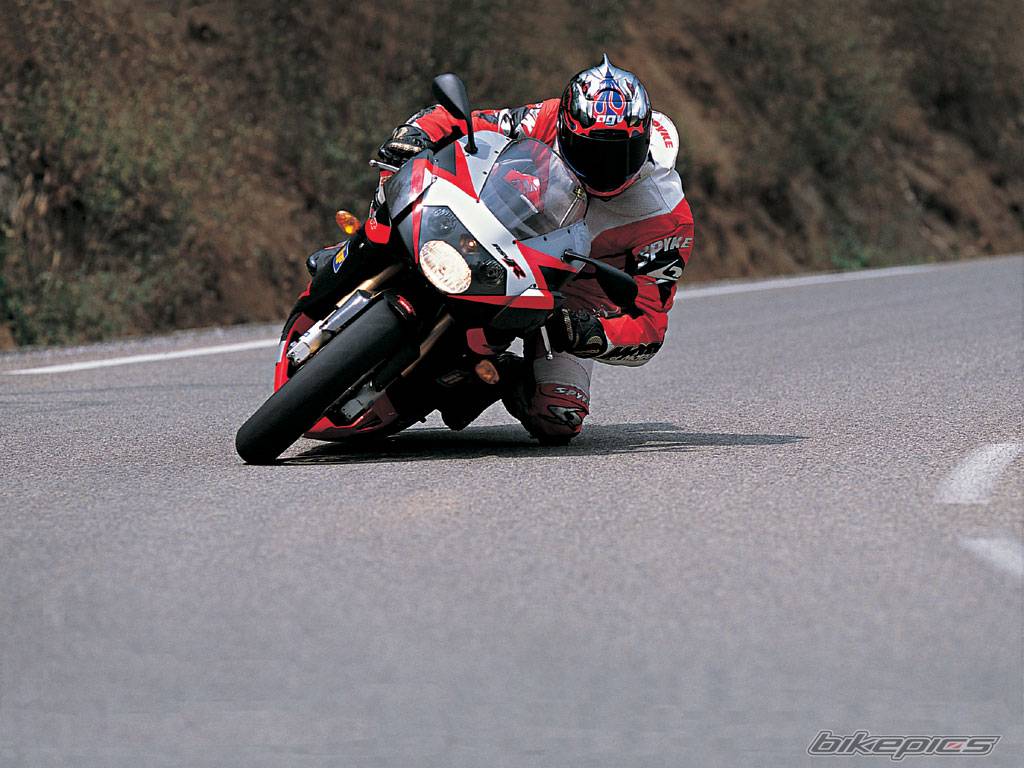 2002 APRILIA RSV 1000 MILLE | Picture 360374 motorcycle photo