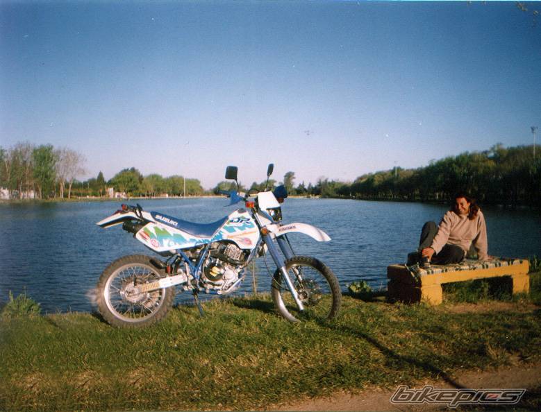 1991 SUZUKI DR 350 | Picture 360670 motorcycle photo