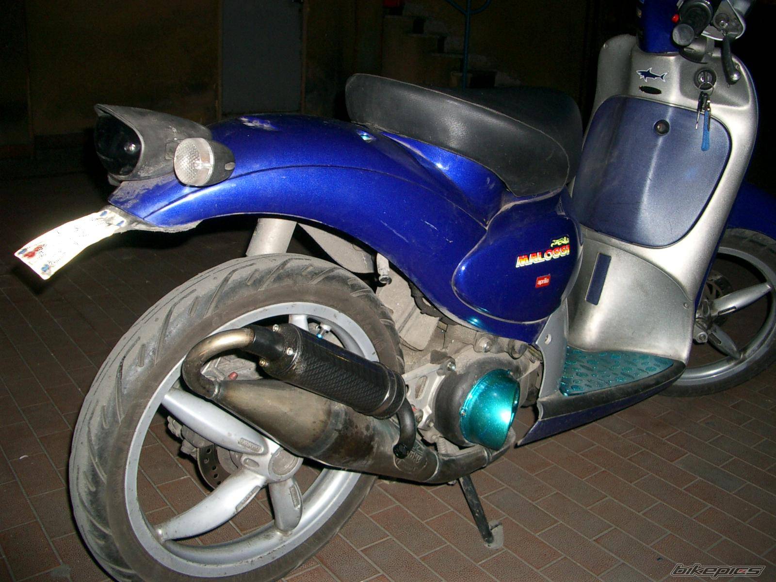 2005 APRILIA SCARABEO 50 | Picture 361011 motorcycle photo