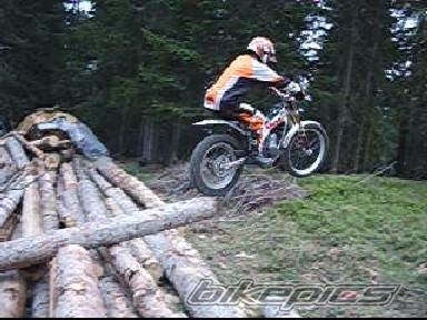 1998 BETA TECHNO 250 | Picture 361107 motorcycle photo