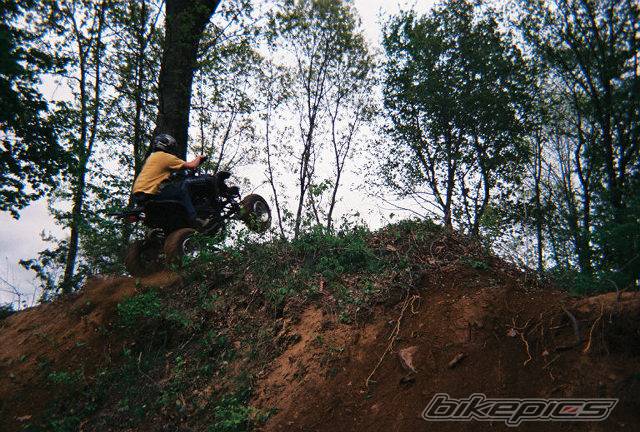 2003 YAMAHA RAPTOR YFM 660 | Picture 361177 motorcycle photo