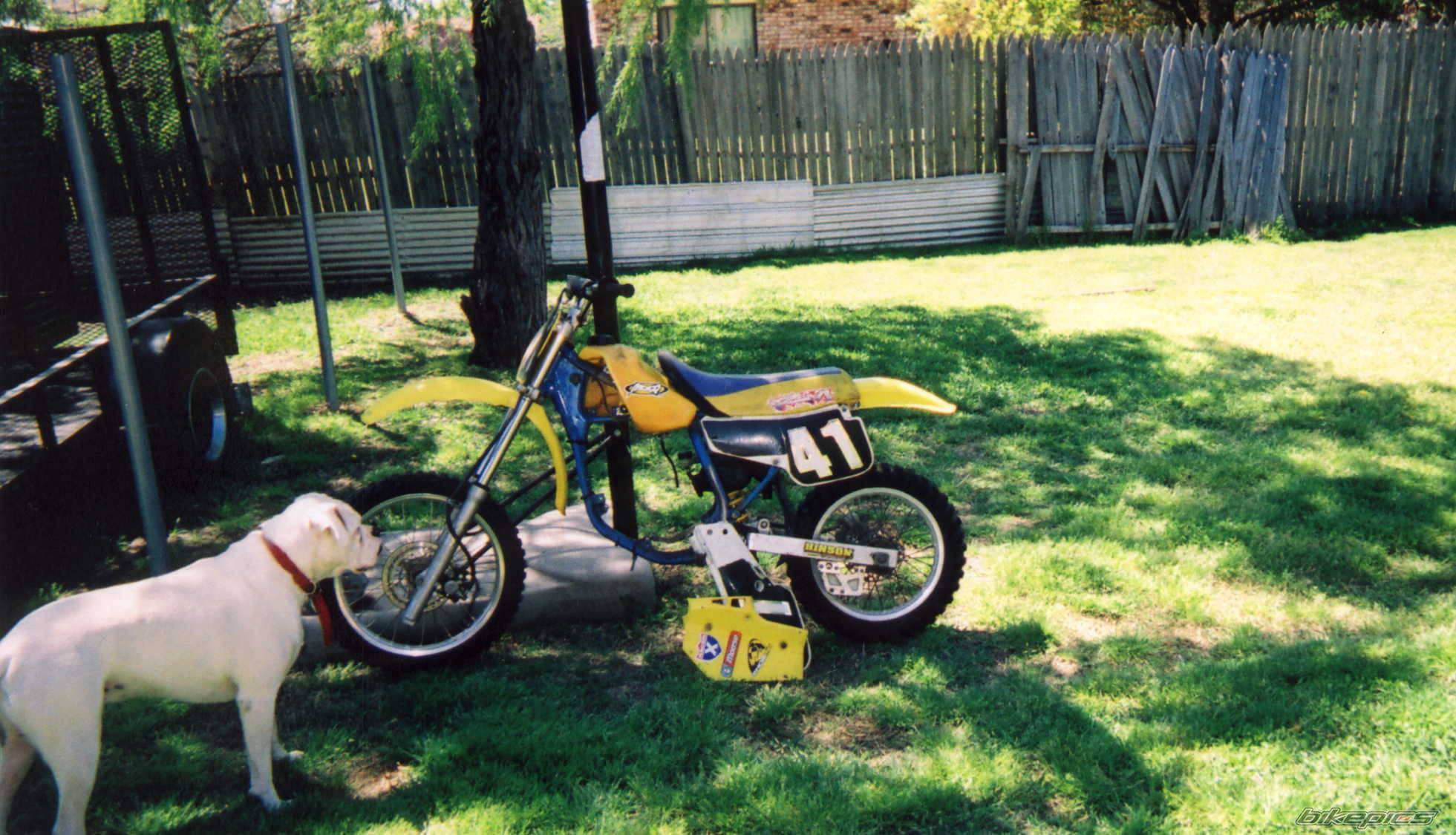 1990 SUZUKI RM 80 | Picture 362009 motorcycle photo