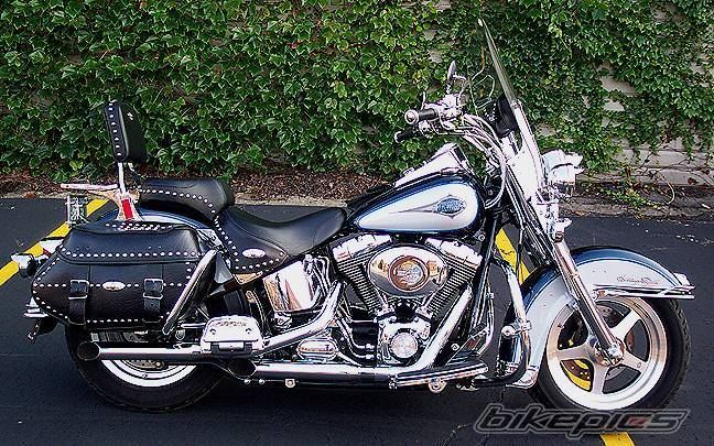 2000 HARLEY DAVIDSON FLSTC | Picture 362267 motorcycle photo