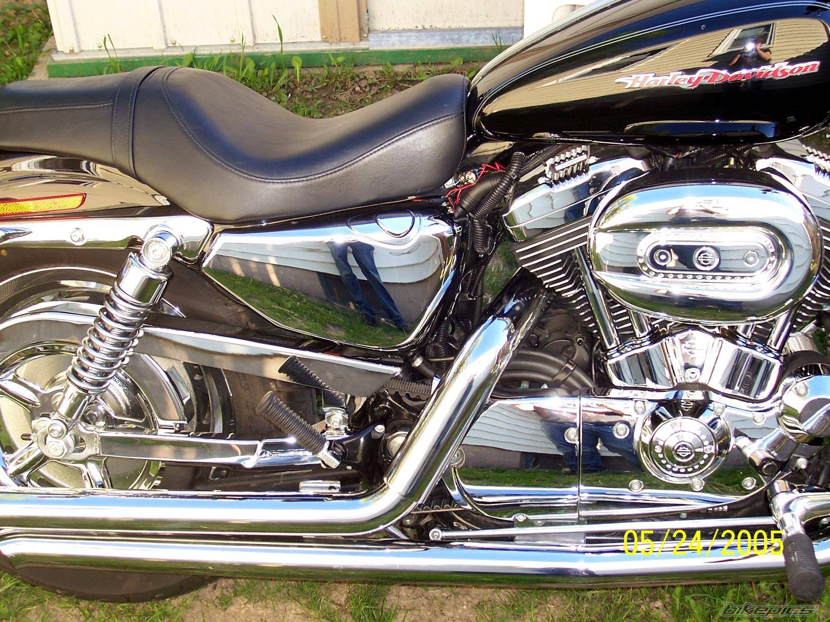 2005 HARLEY DAVIDSON XL 1200 C | Picture 362486 motorcycle photo