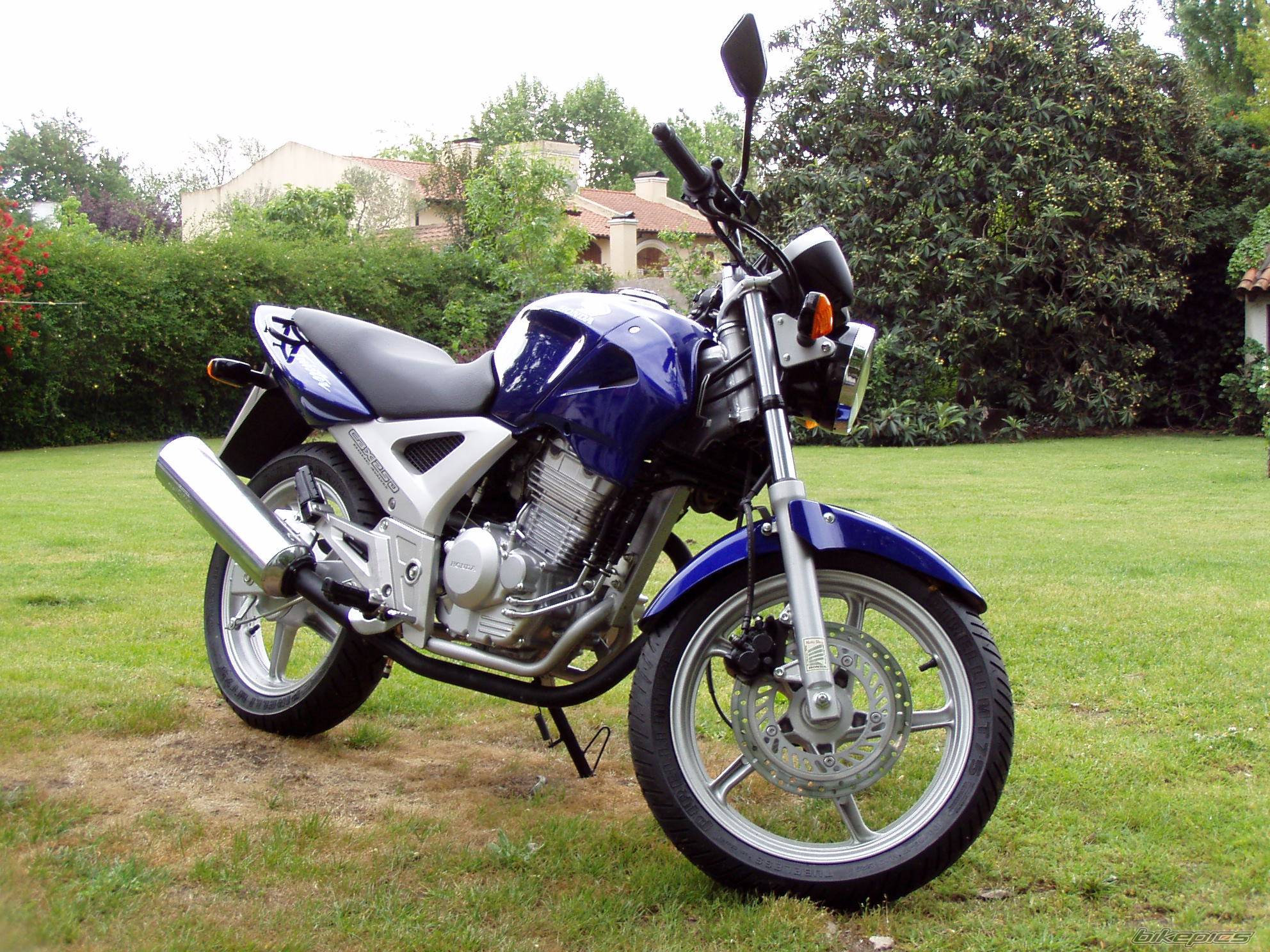 2004 HONDA CBX 250 | Picture 362674 motorcycle photo