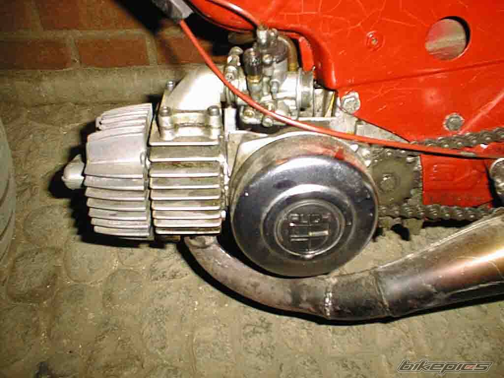 1984 PUCH MAXI | Picture 36279 motorcycle photo