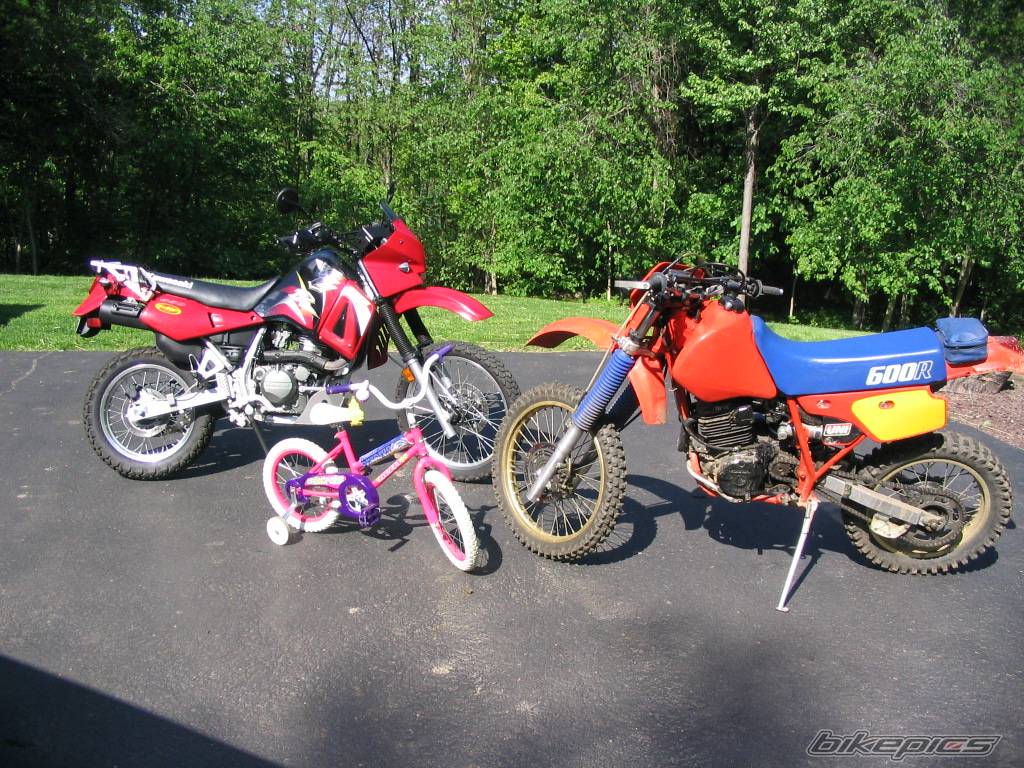 2004 KAWASAKI KLR 650 | Picture 362804 motorcycle photo