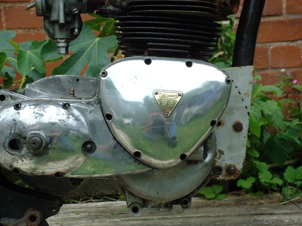 1964 DUCATI MACH 1  250 | Picture 362981 motorcycle photo