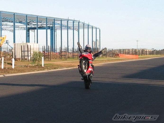 2002 SUZUKI GSX R 1000 | Picture 363002 motorcycle photo