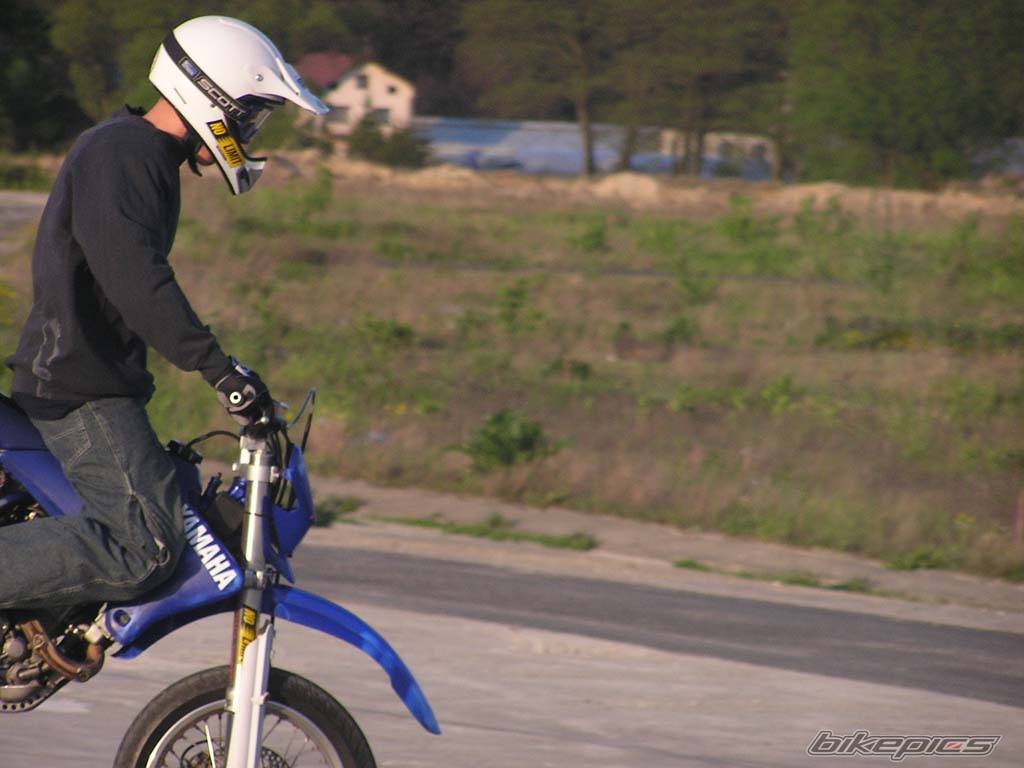 2004 YAMAHA YZ 250F | Picture 363226 motorcycle photo