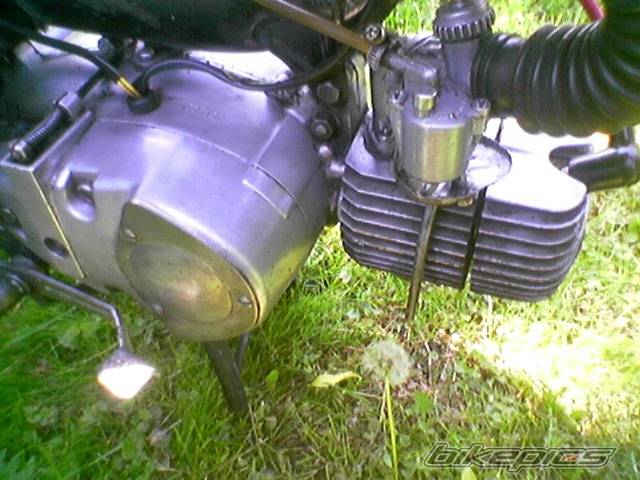1978 JAWA MUSTANG 50 | Picture 363276 motorcycle photo