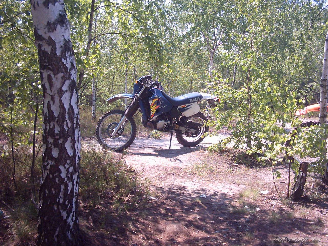 363298 | Picture 363298 motorcycle photo