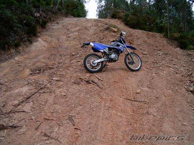 2003 AJP PR4 125 | Picture 363591 motorcycle photo