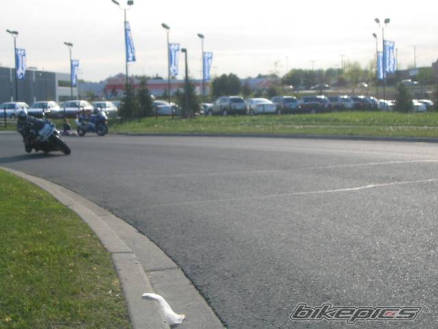 1997 SUZUKI GSX R 750 | Picture 363825 motorcycle photo