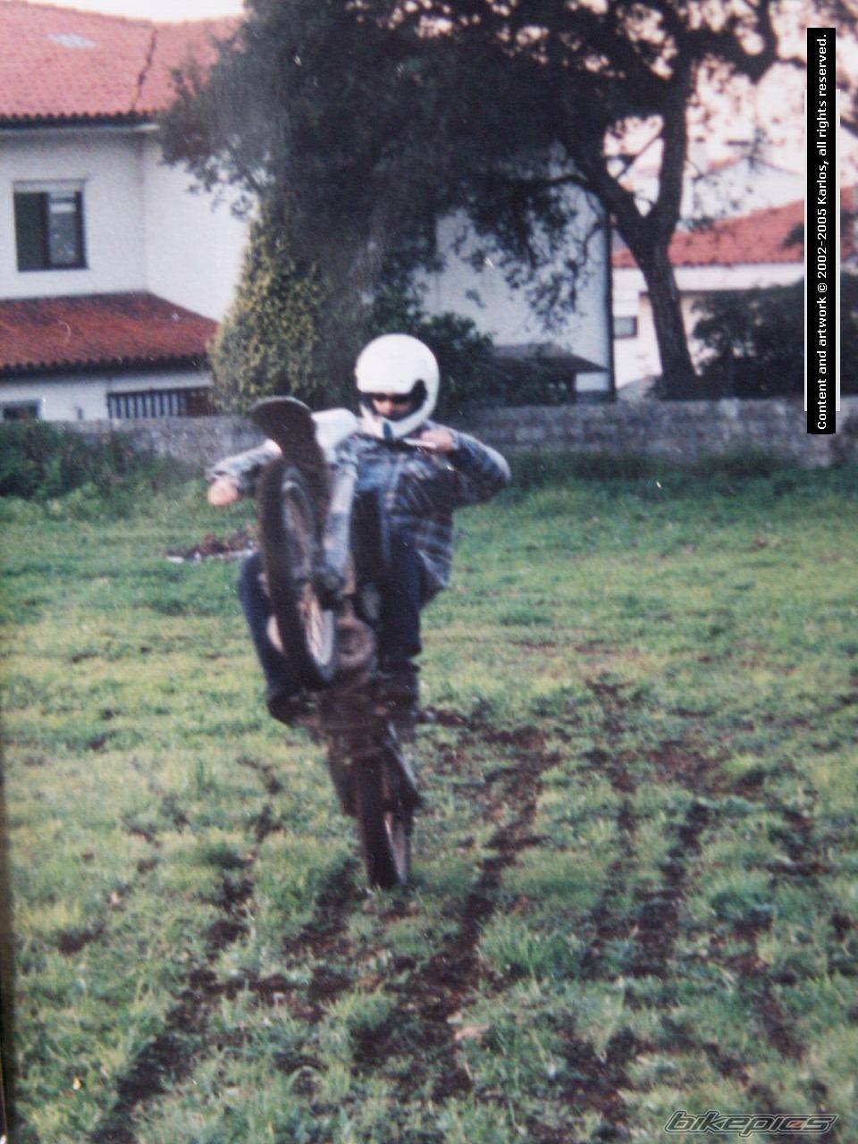 1997 APRILIA RX 50 | Picture 364162 motorcycle photo