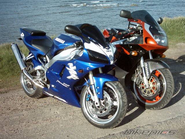 1998 YAMAHA YZF R1 | Picture 364558 motorcycle photo