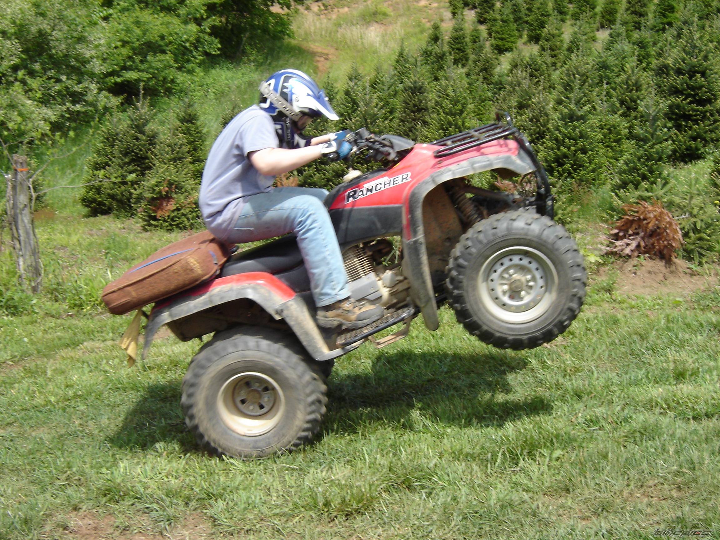 2000 HONDA RANCHER | Picture 365424 motorcycle photo