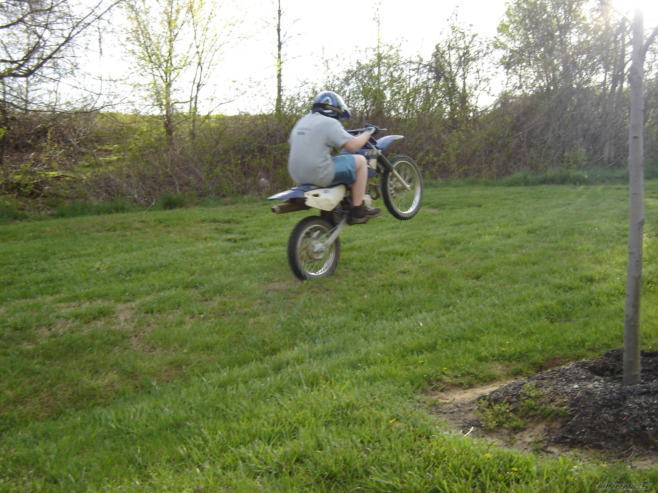 2001 YAMAHA TTR 125 | Picture 365430 motorcycle photo
