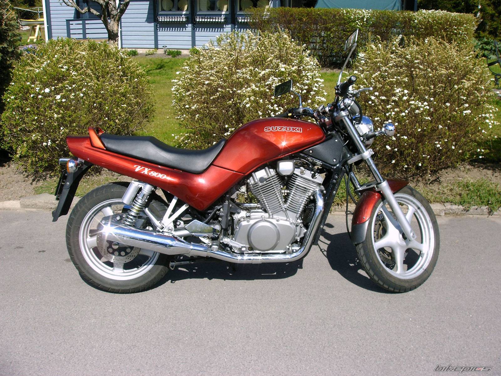 1995 SUZUKI VX 800 | Picture 365547 motorcycle photo