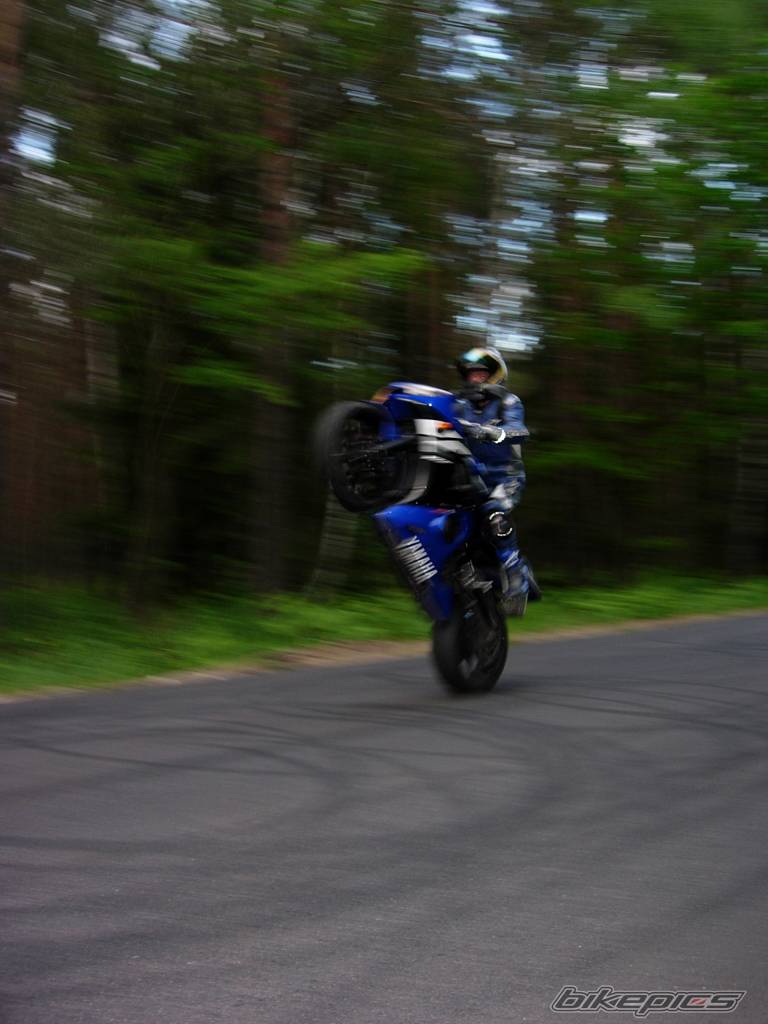 2003 YAMAHA YZF R6 | Picture 365797 motorcycle photo