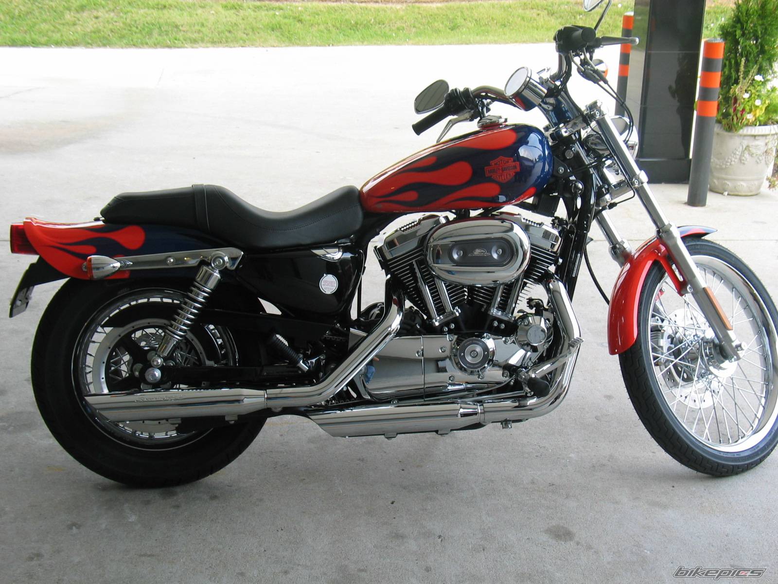 2005 HARLEY DAVIDSON XL 1200 C | Picture 365819 motorcycle photo