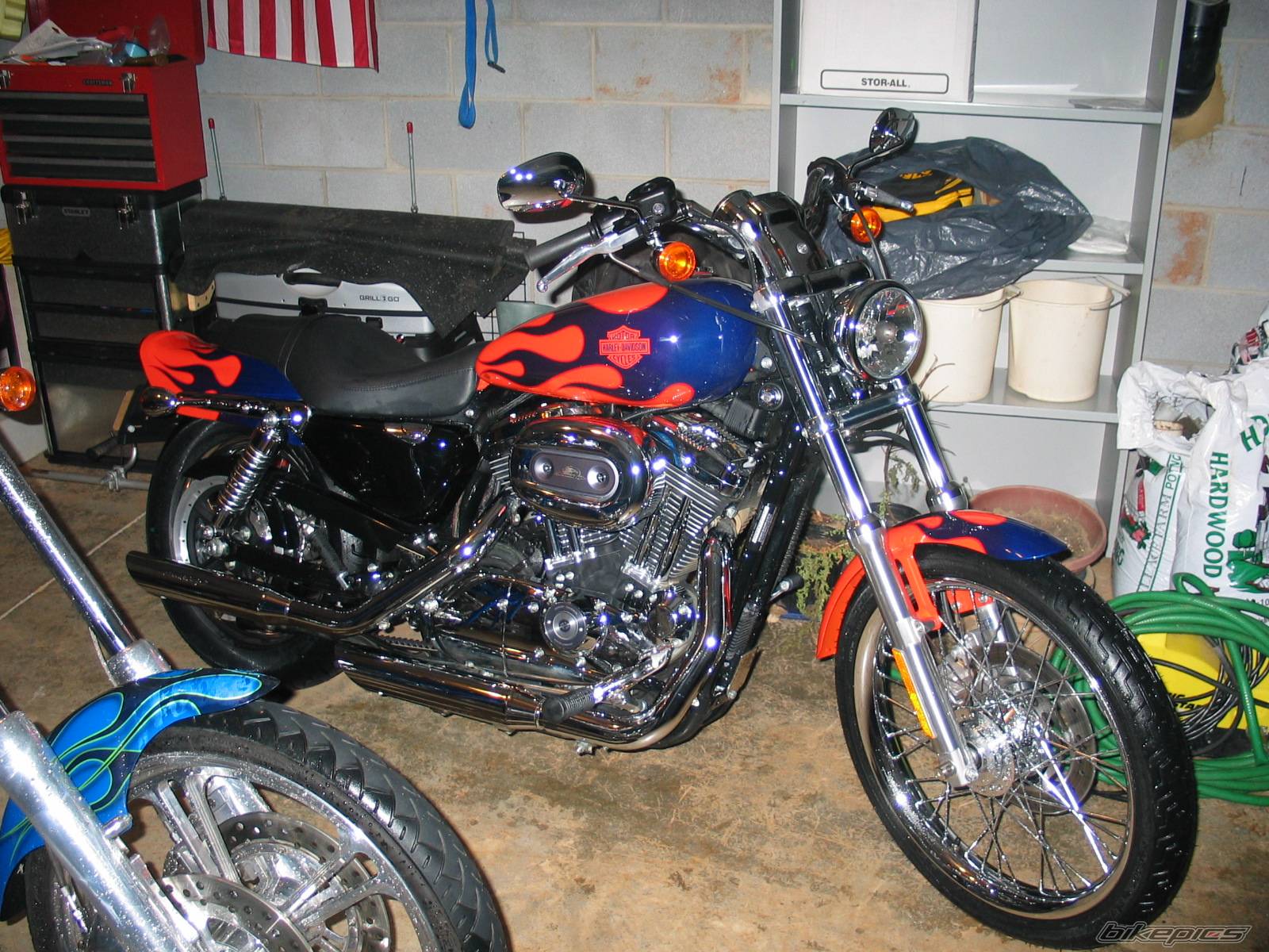 2005 HARLEY DAVIDSON XL 1200 C | Picture 365821 motorcycle photo