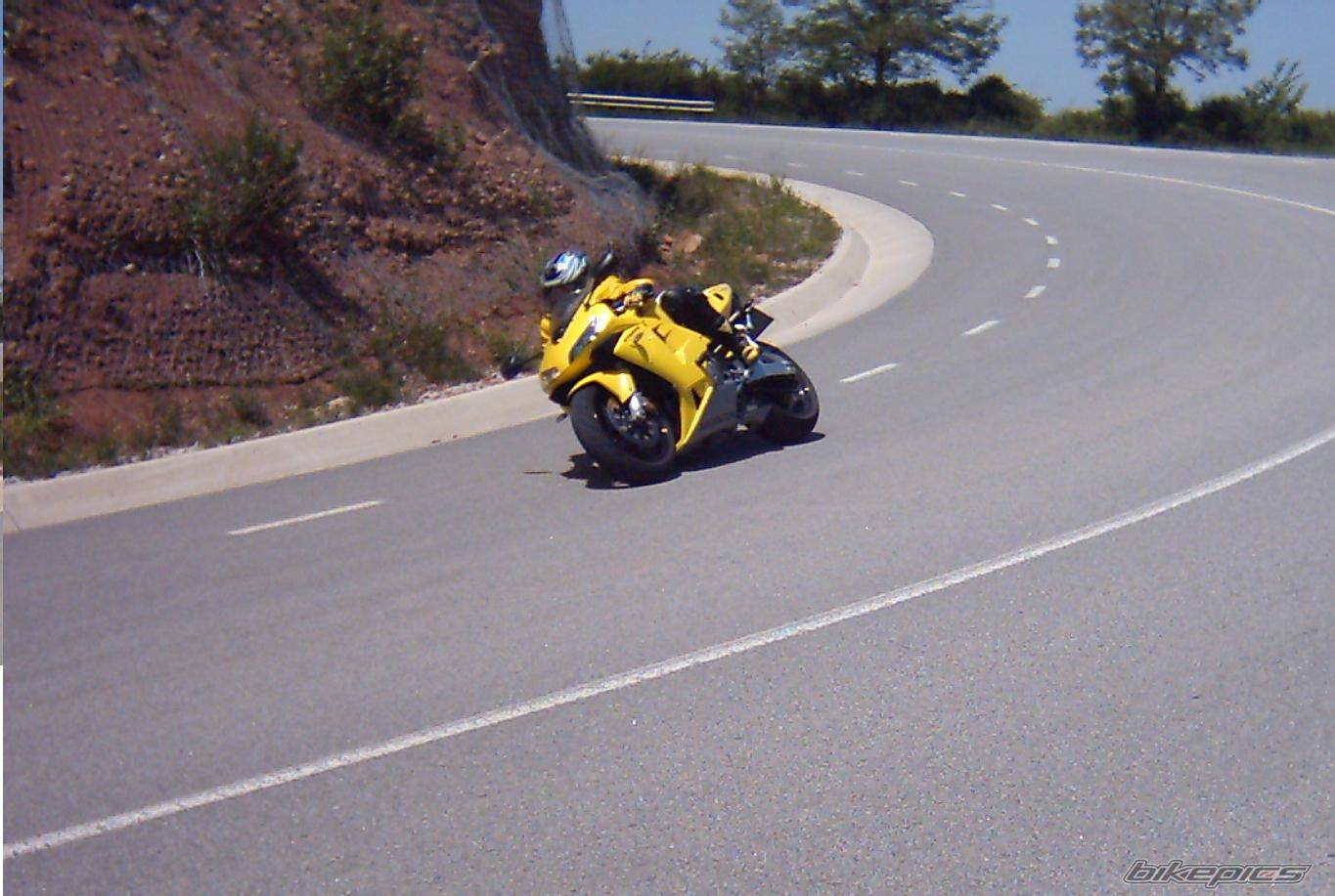 2004 HONDA CBR 600 | Picture 365866 motorcycle photo