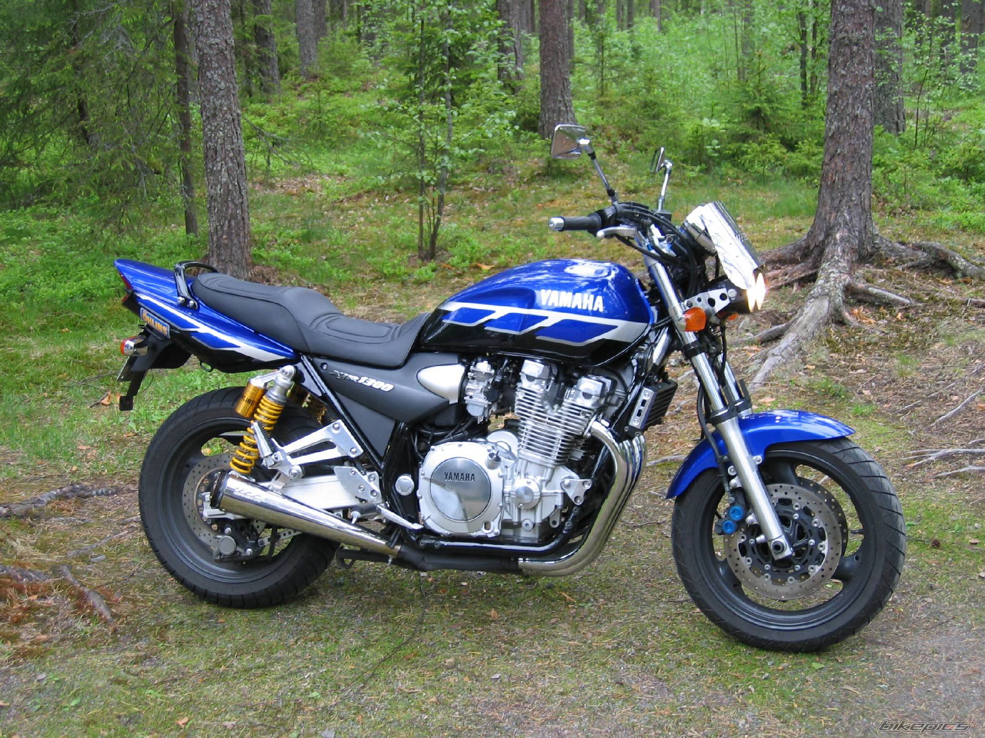 2000 YAMAHA YAMAHA XJR 1300 SP | Picture 366282 motorcycle photo