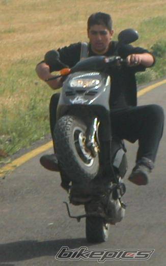 1996 PIAGGIO TYPHOON 50 | Picture 366522 motorcycle photo