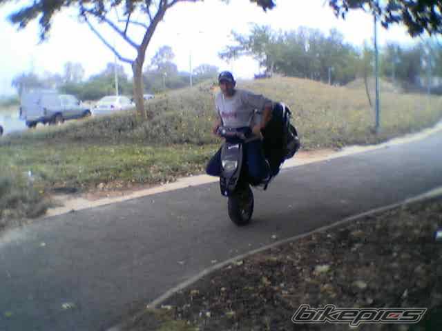 1996 PIAGGIO TYPHOON 50 | Picture 366523 motorcycle photo