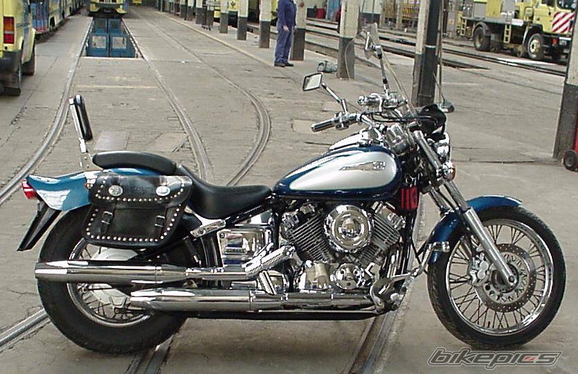 1998 YAMAHA XV DRAGSTAR 650 | Picture 366646 motorcycle photo