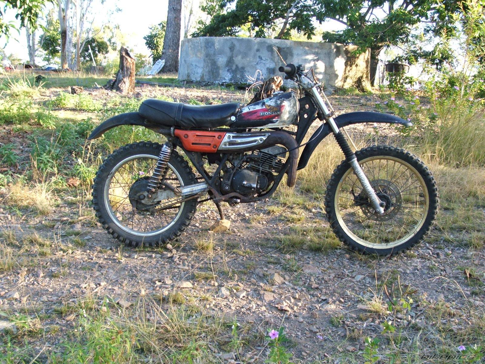 1982 SUZUKI TS 185 | Picture 366648 motorcycle photo