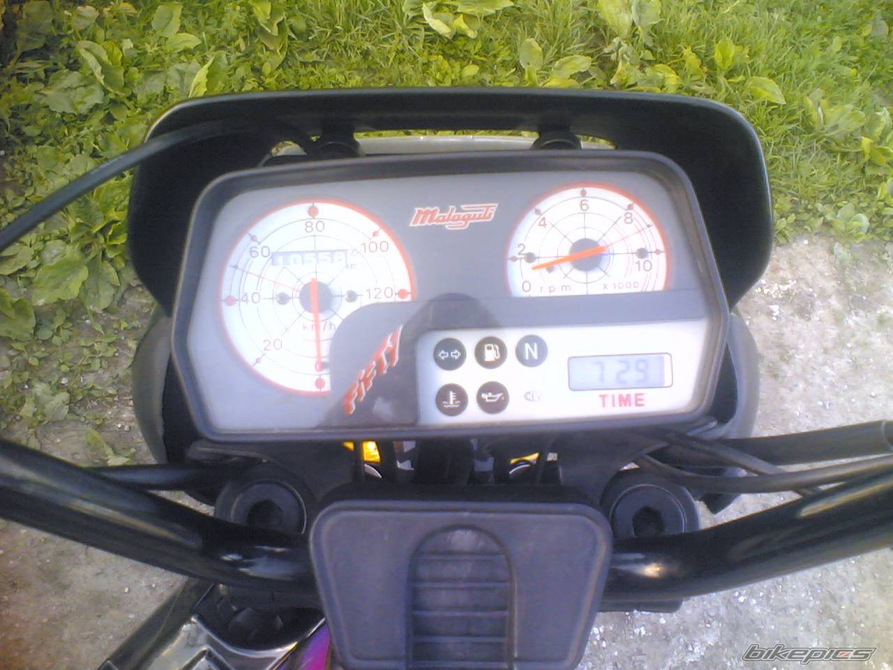 1996 MALAGUTI FIFTY TOP | Picture 366719 motorcycle photo