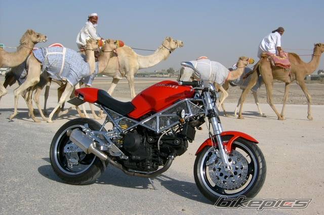 1994 DUCATI MONSTER 900 | Picture 366809 motorcycle photo