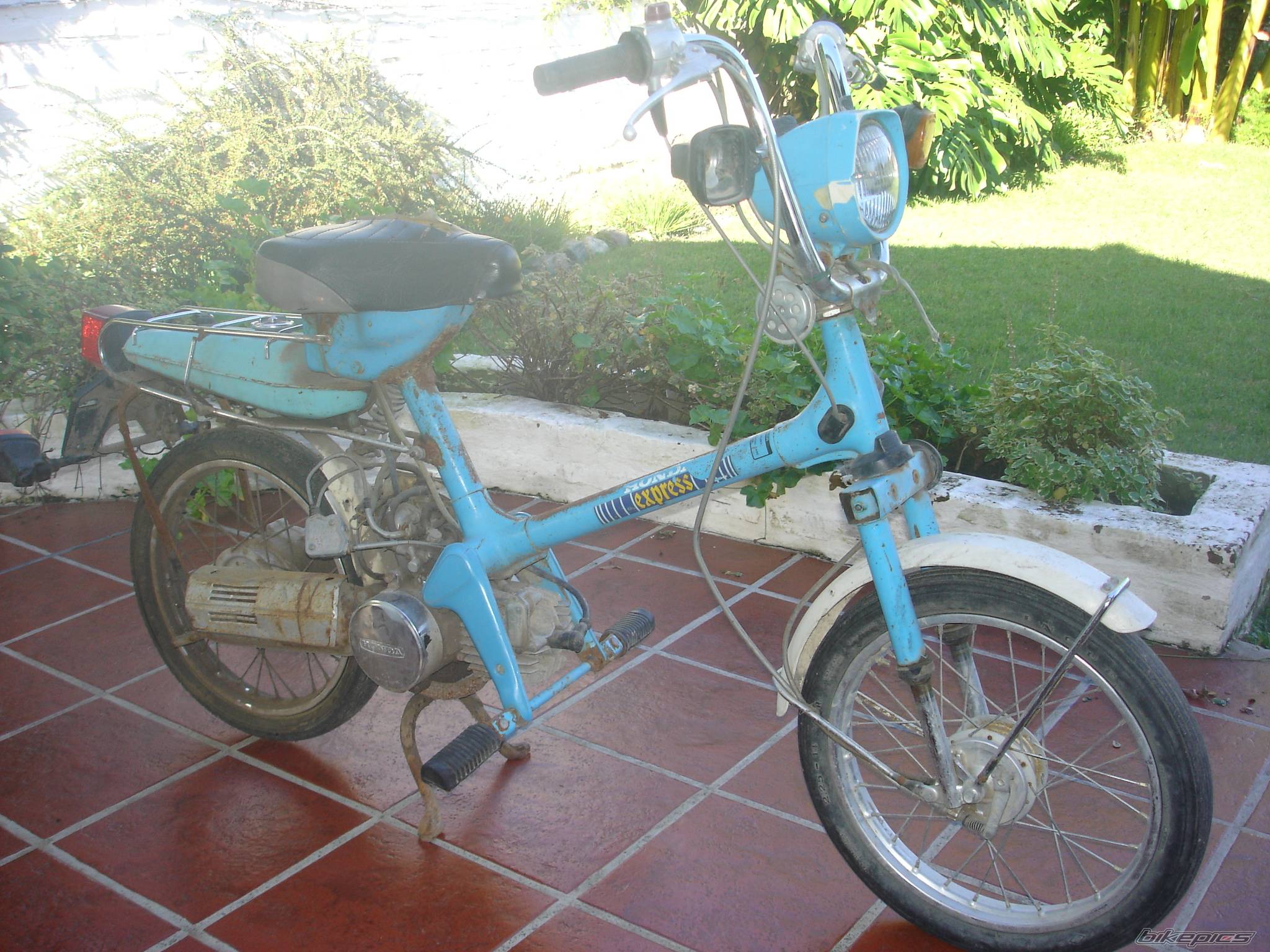 1981 HONDA EXPRESS | Picture 366899 motorcycle photo