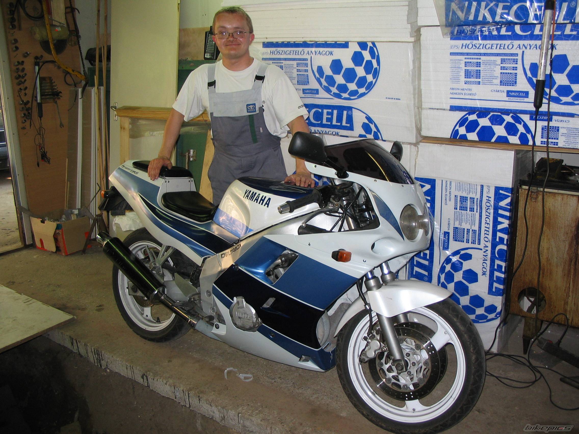 1989 YAMAHA FZR 250 | Picture 366910 motorcycle photo