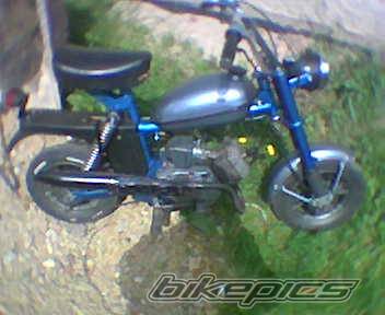 1982 ROMET PONY 50 | Picture 366928 motorcycle photo