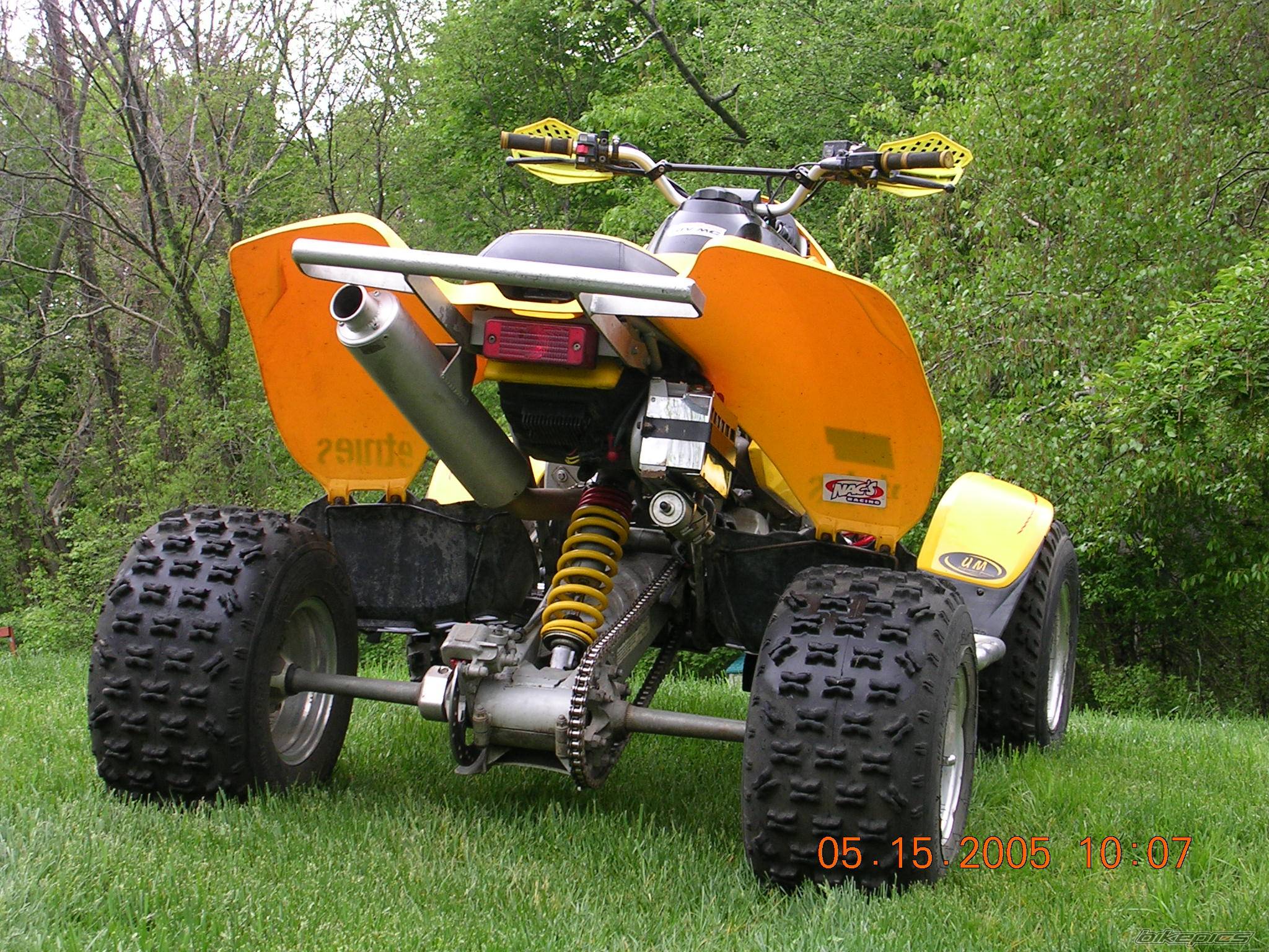 2000 BOMBARDIER DS650 BAJA | Picture 367041 motorcycle photo