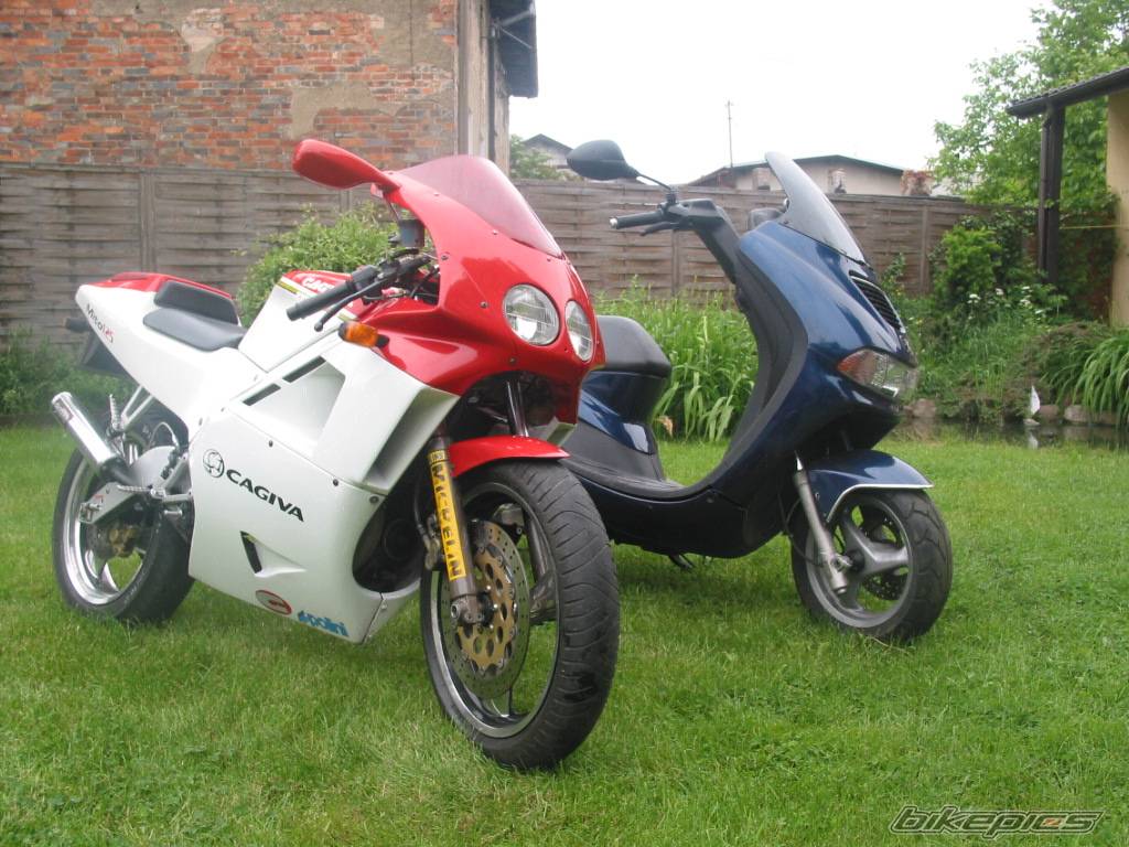 1991 CAGIVA MITO 125 | Picture 367224 motorcycle photo